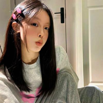 燕子盗