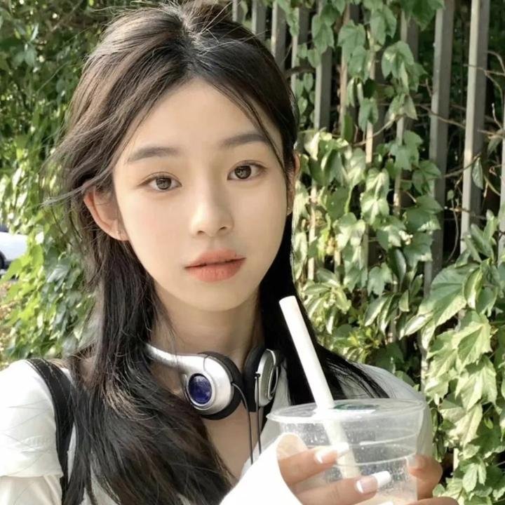 狗狗监护权